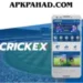 crickex-game